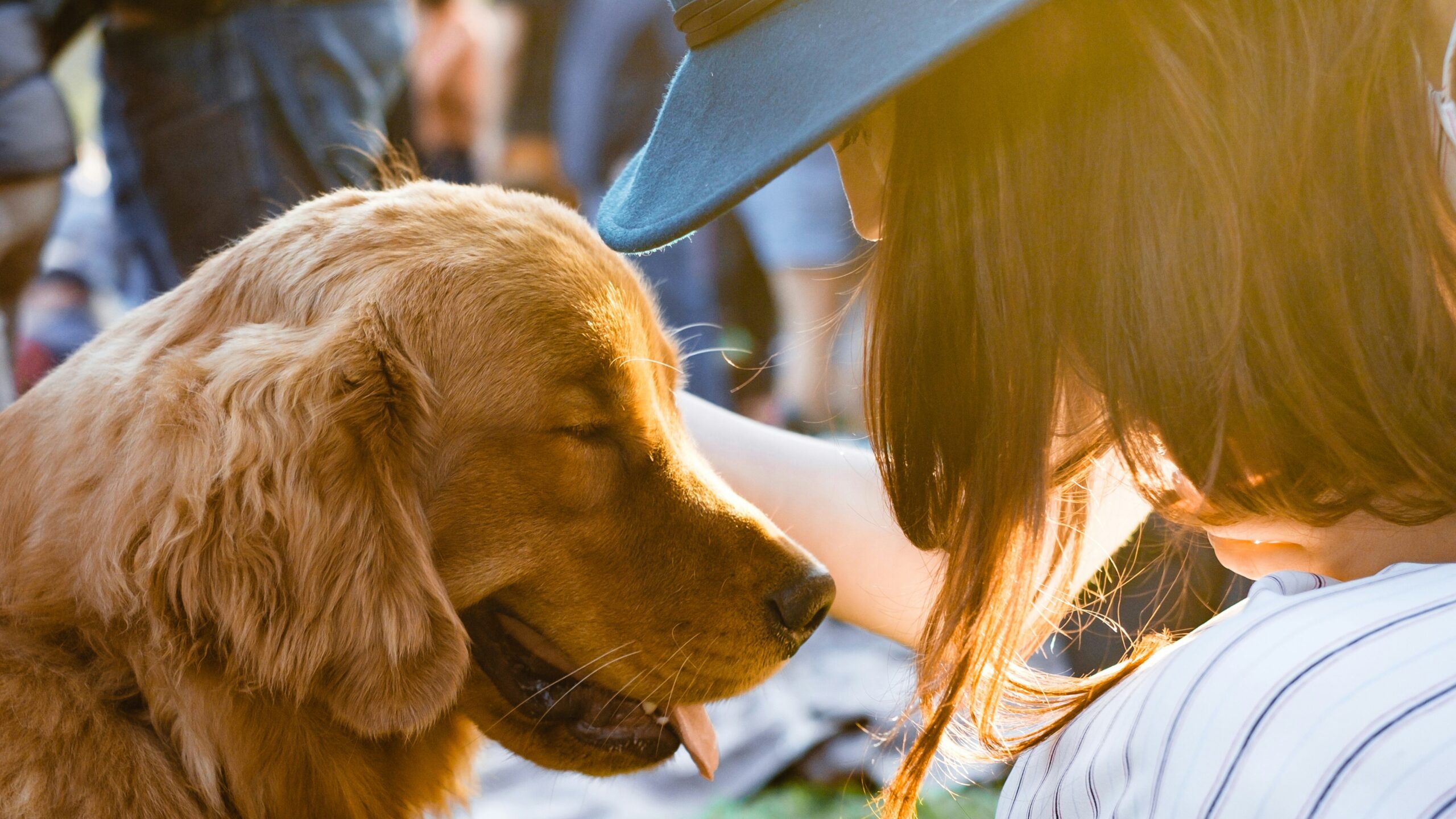 Femme et son golden retriever