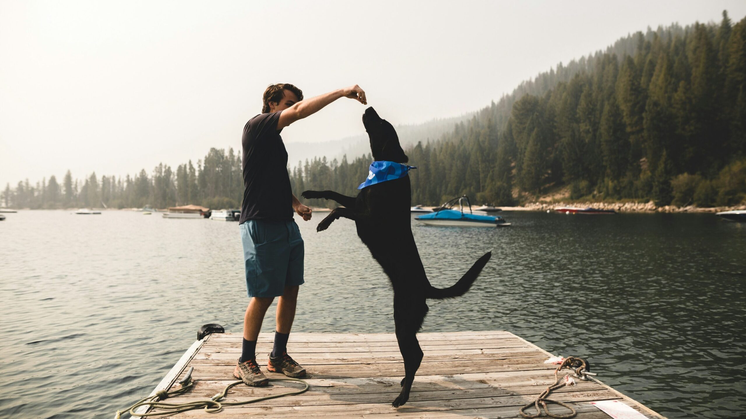 Homme jouant avec son labrador noir