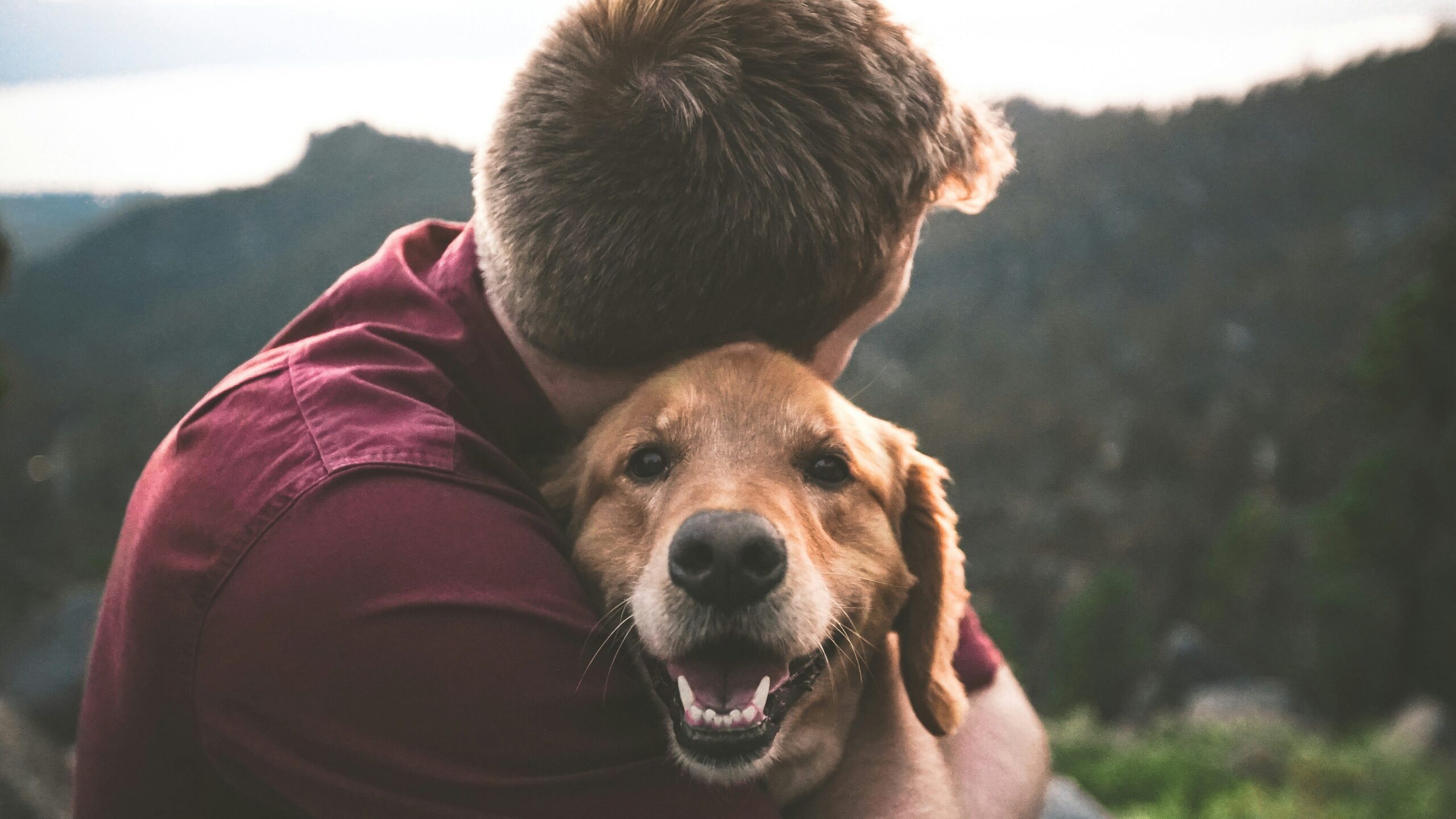 Un homme étreint son golden retriever